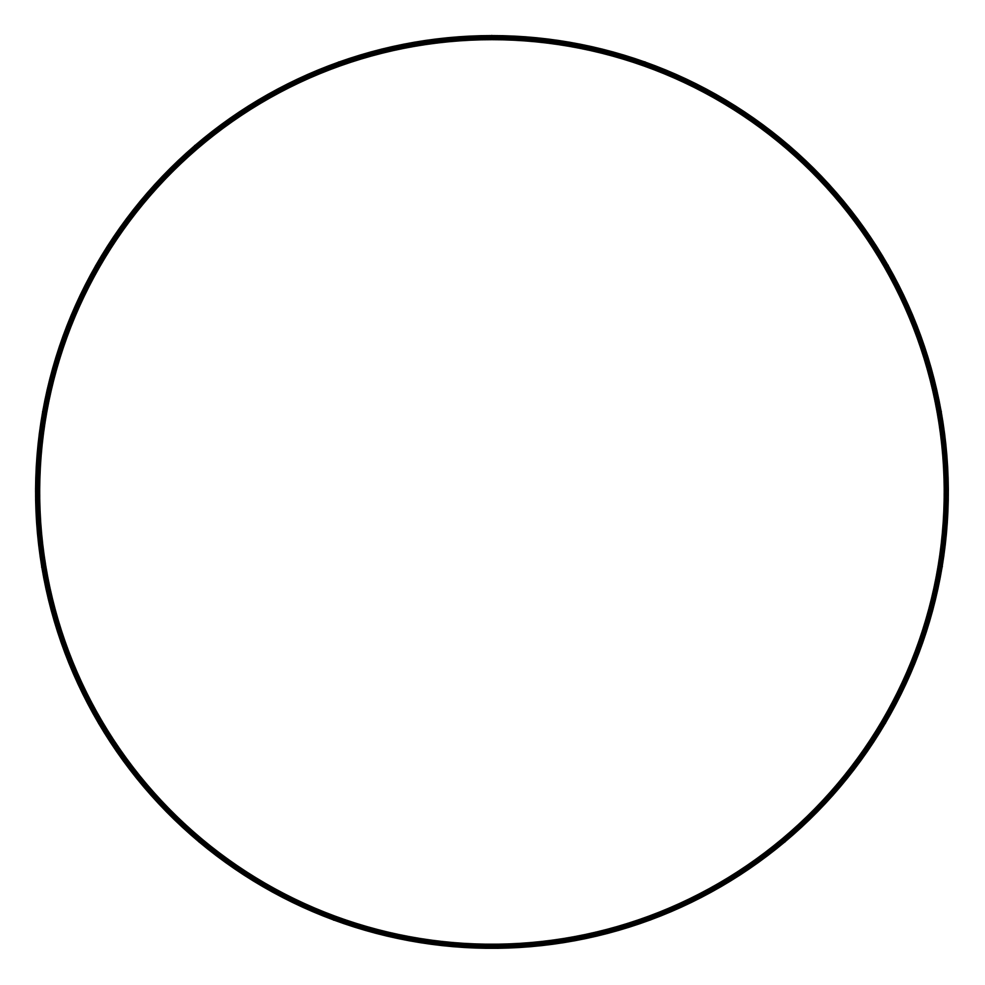 Simple Circle Outline Illustration Design