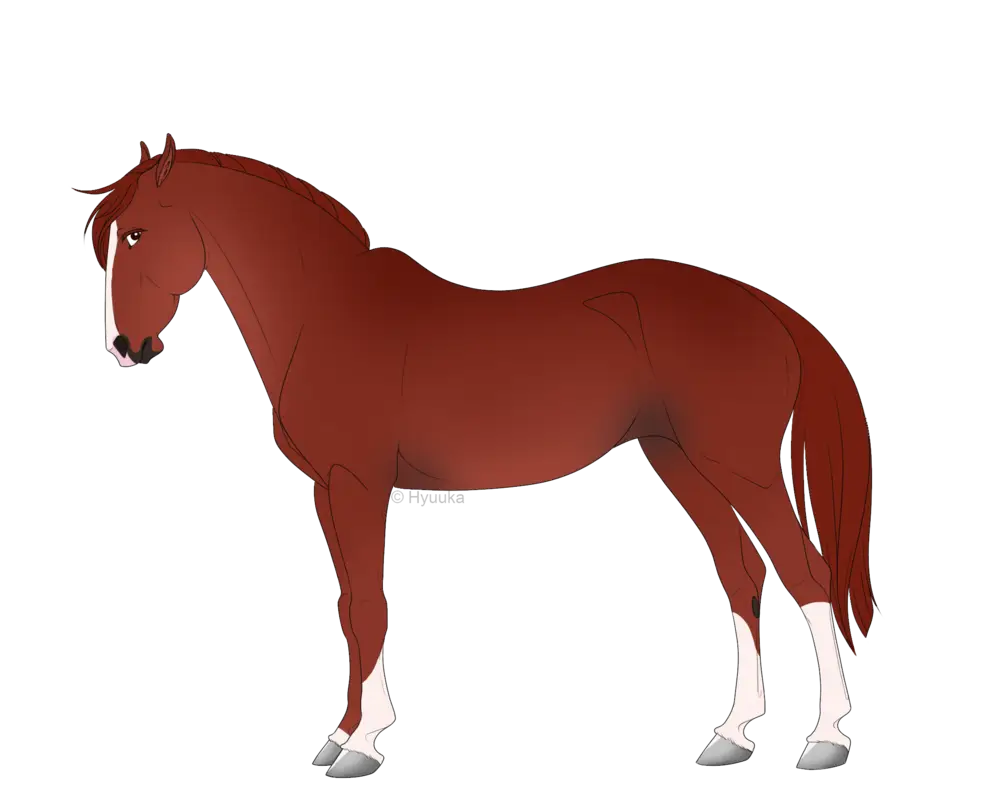 Brown Horse Illustration