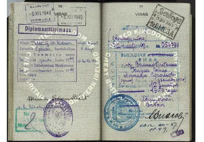 Passport Visa Pages with Multiple Stamps