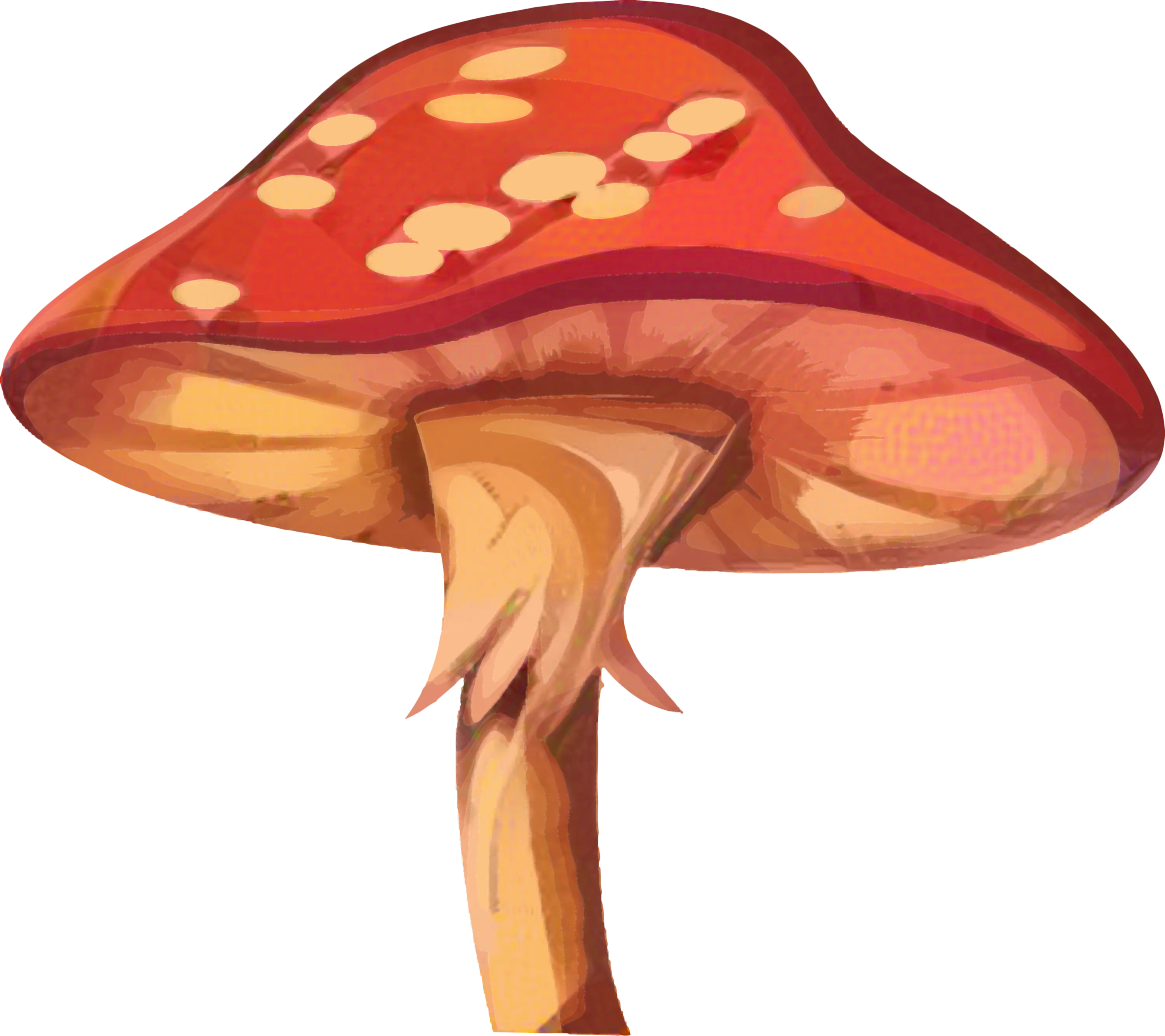 Bright Red Mushroom Illustration