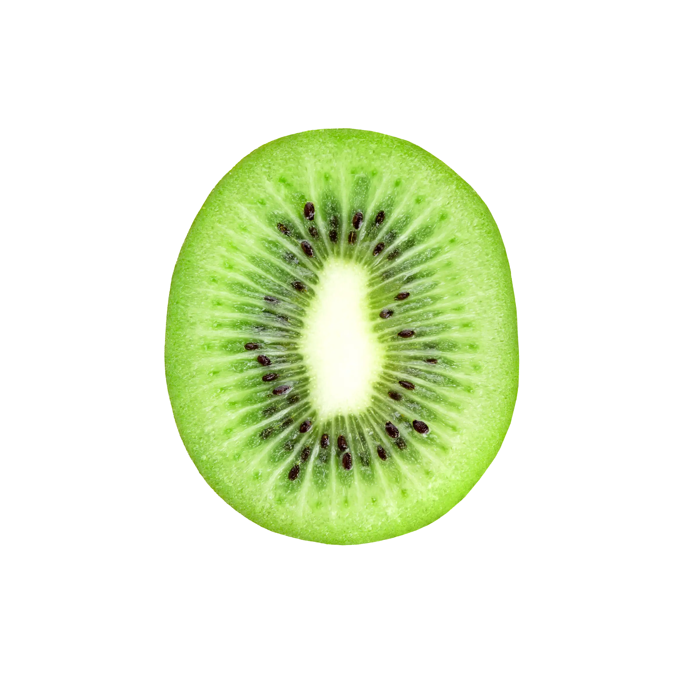 Fresh Sliced Kiwi Illustration