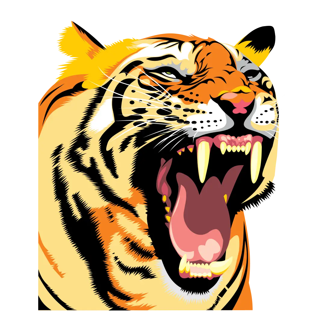 Roaring Tiger Illustration