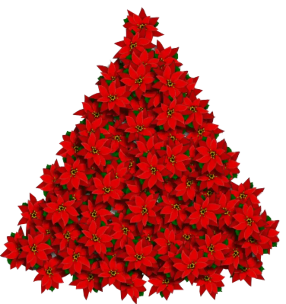 Pile of Red Poinsettia Flowers for Christmas