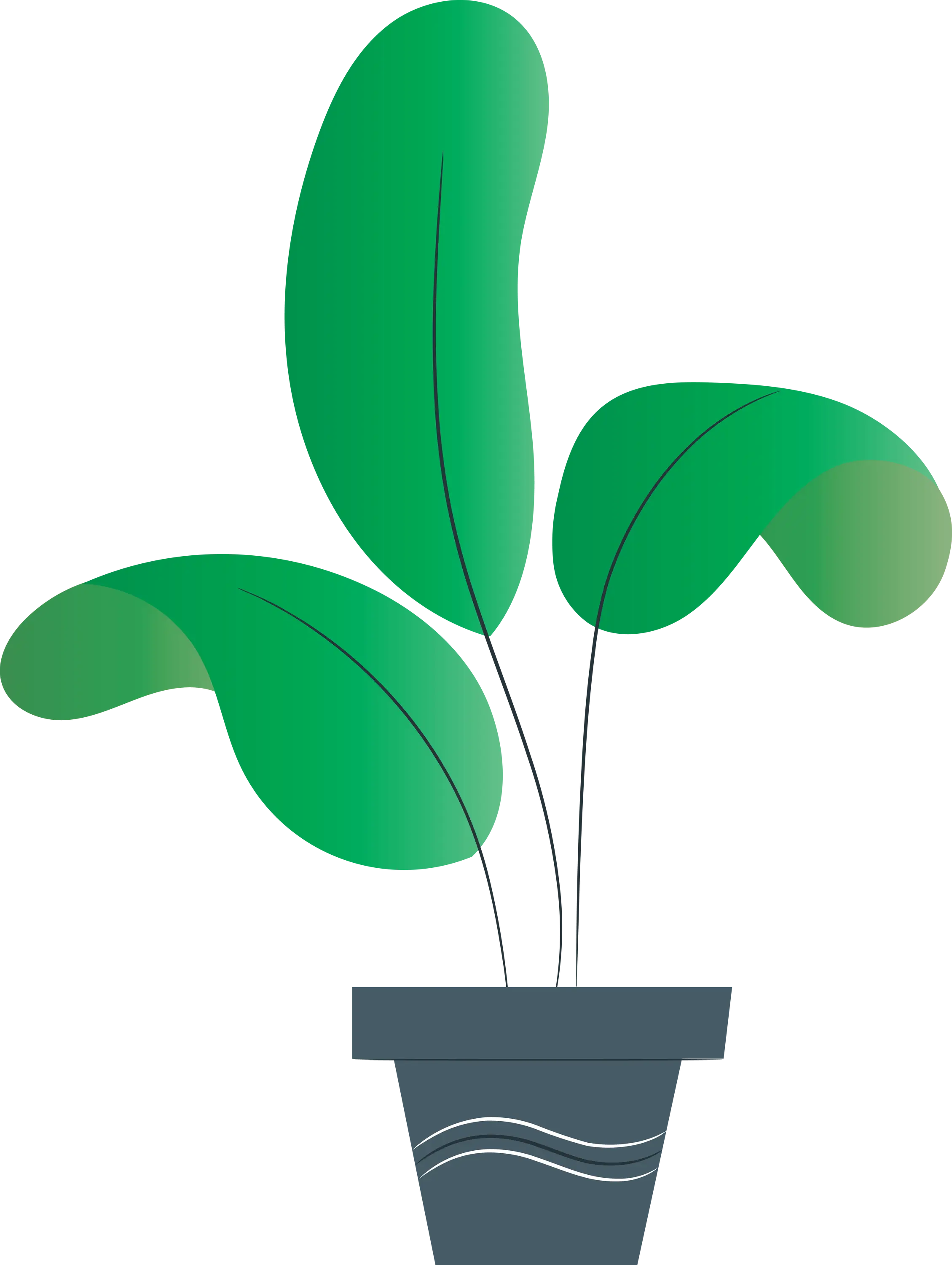 Potted Plant Vector Illustration