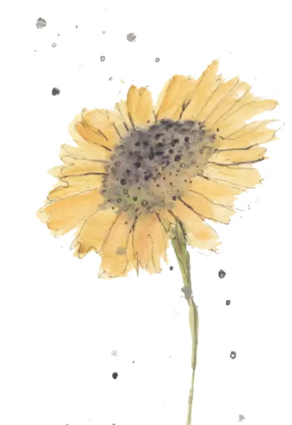 Yellow Flower with Petals