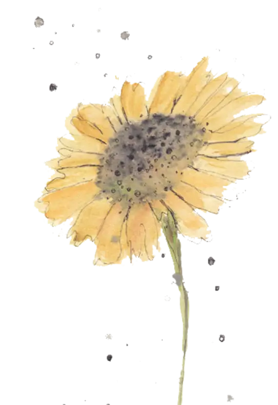 Yellow Flower with Petals
