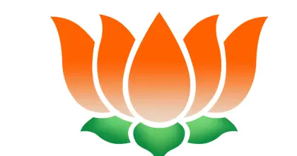 Orange Lotus Flower Logo Design
