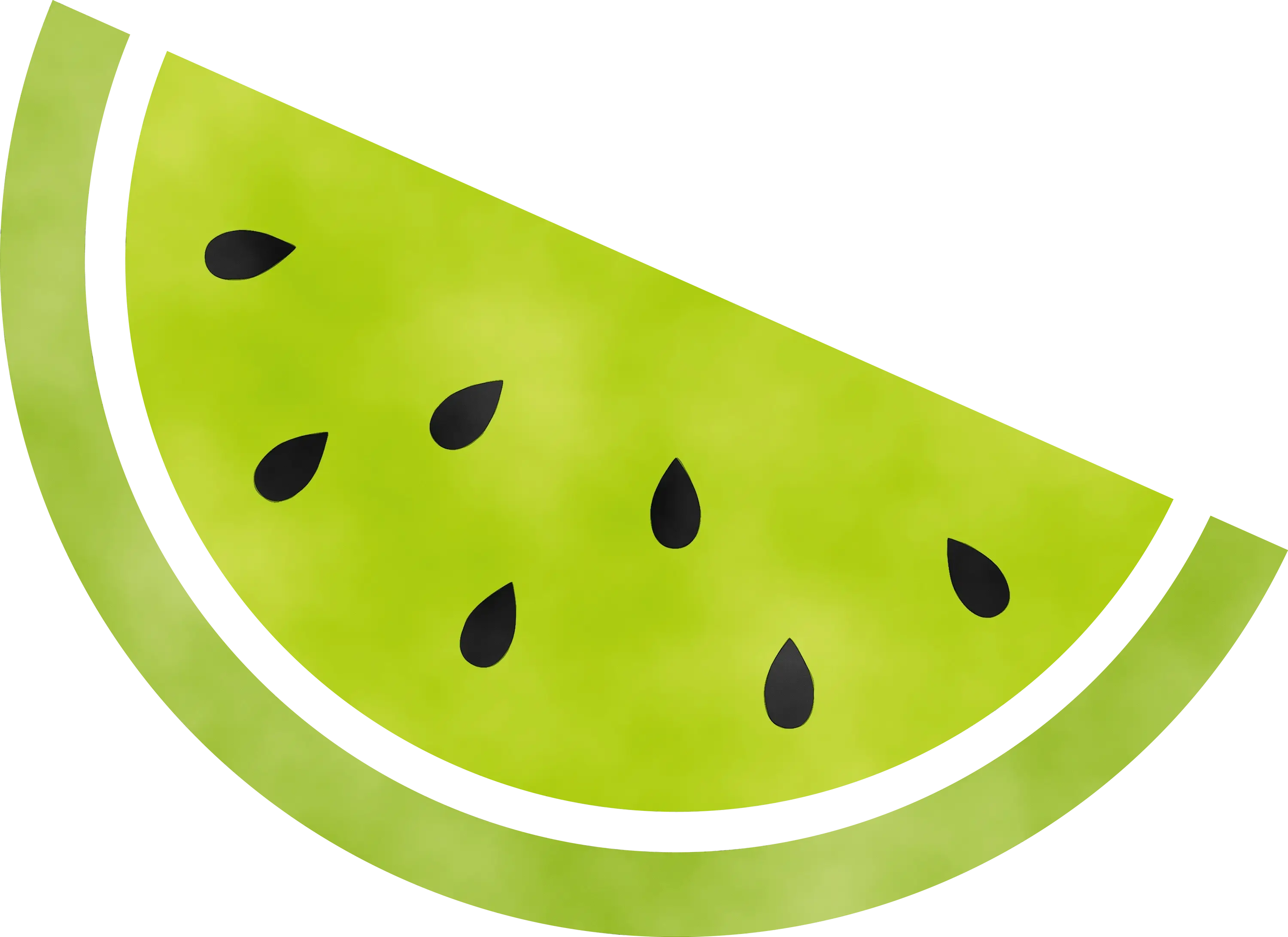 Green Watermelon Slice Illustration