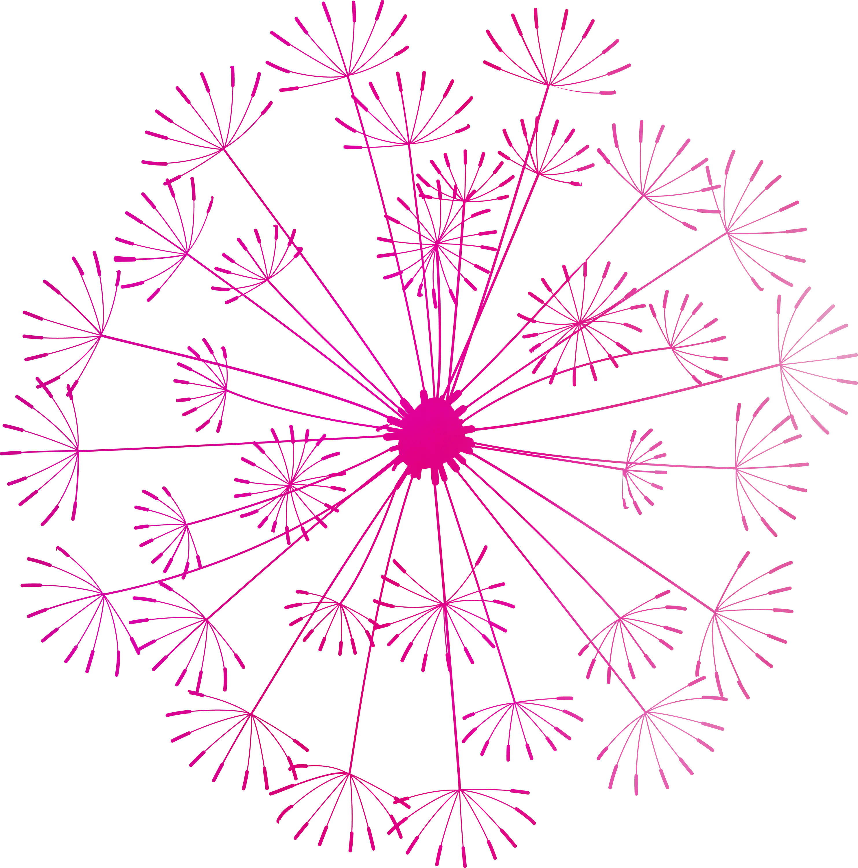 Pink Dandelion Illustration Design