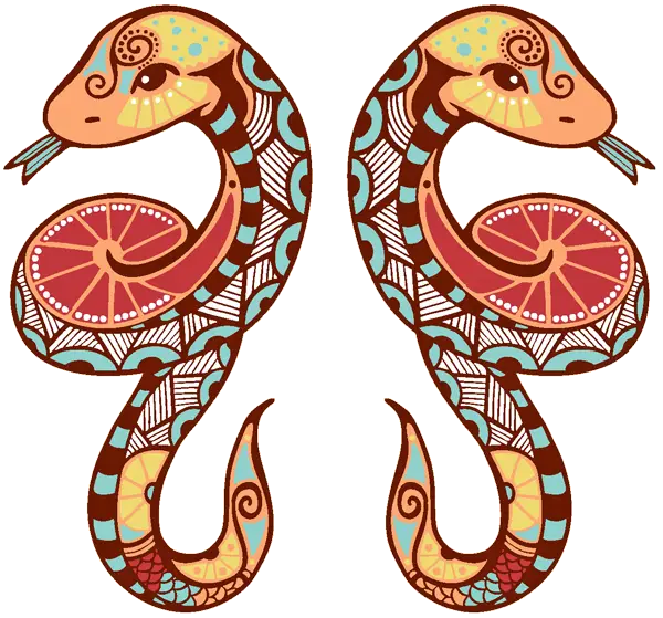 Decorative Snake Art Design