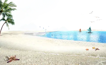 Tropical Beach Scene with Ocean and Palm