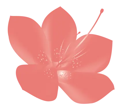 Red Flower Floral Illustration