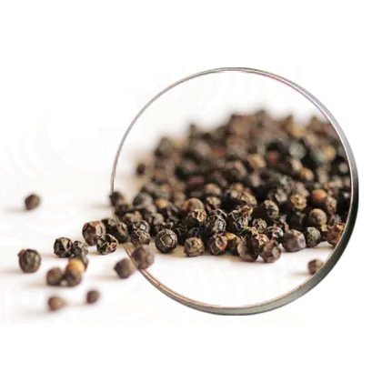 Black Pepper Close-Up