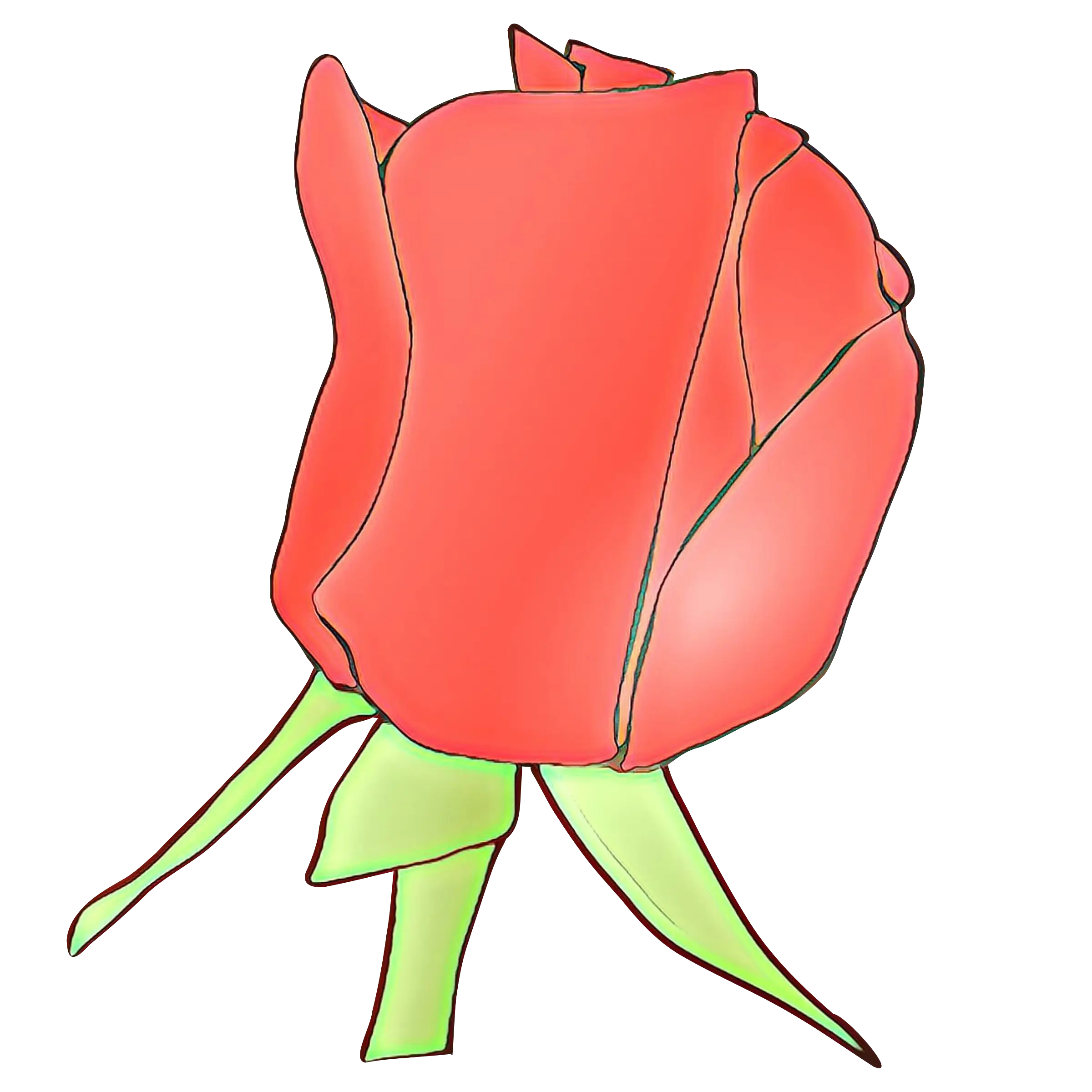 Red Rose Illustration with Gentle Petals