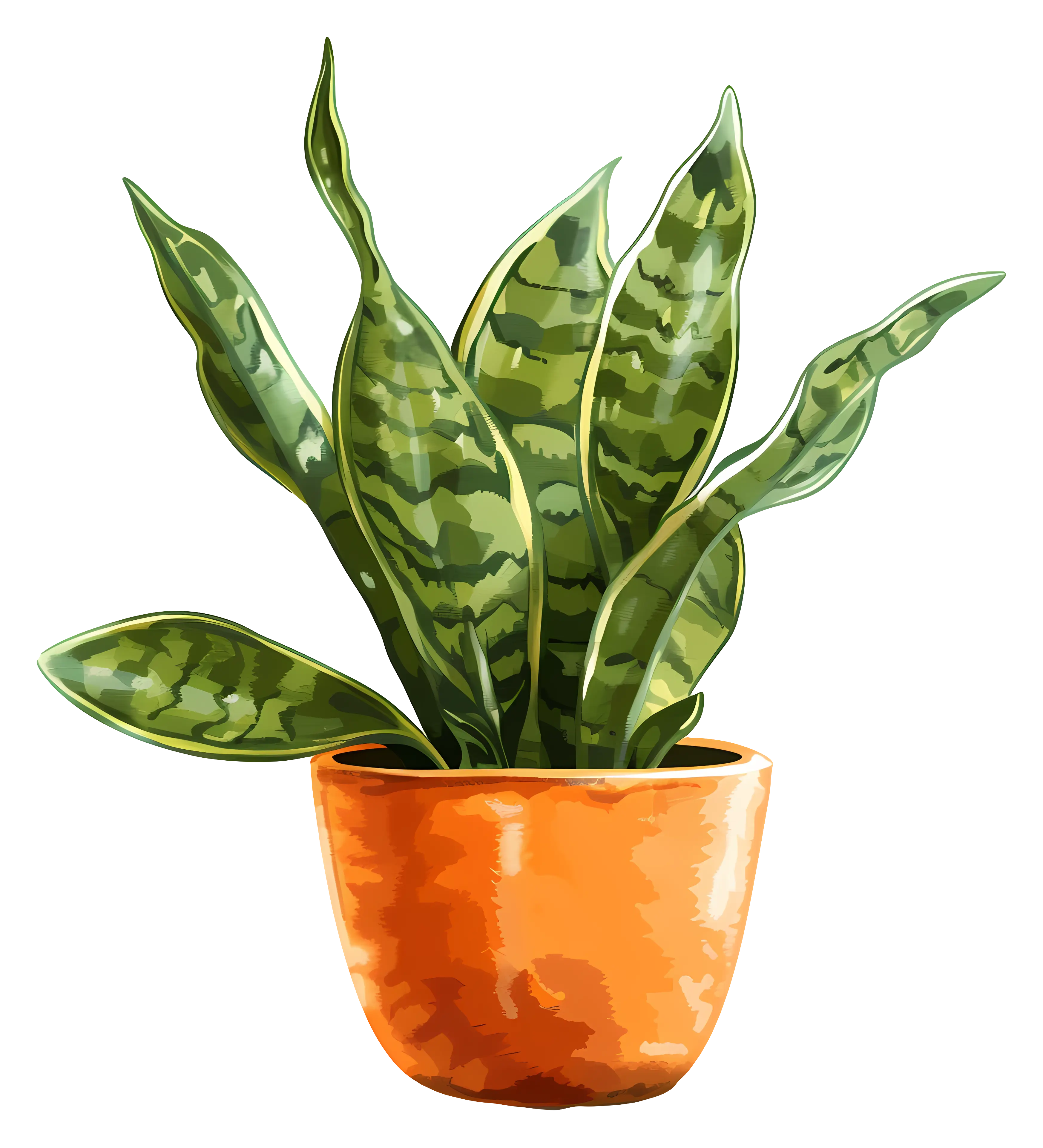 Snake Plant in a Stylish Orange Pot