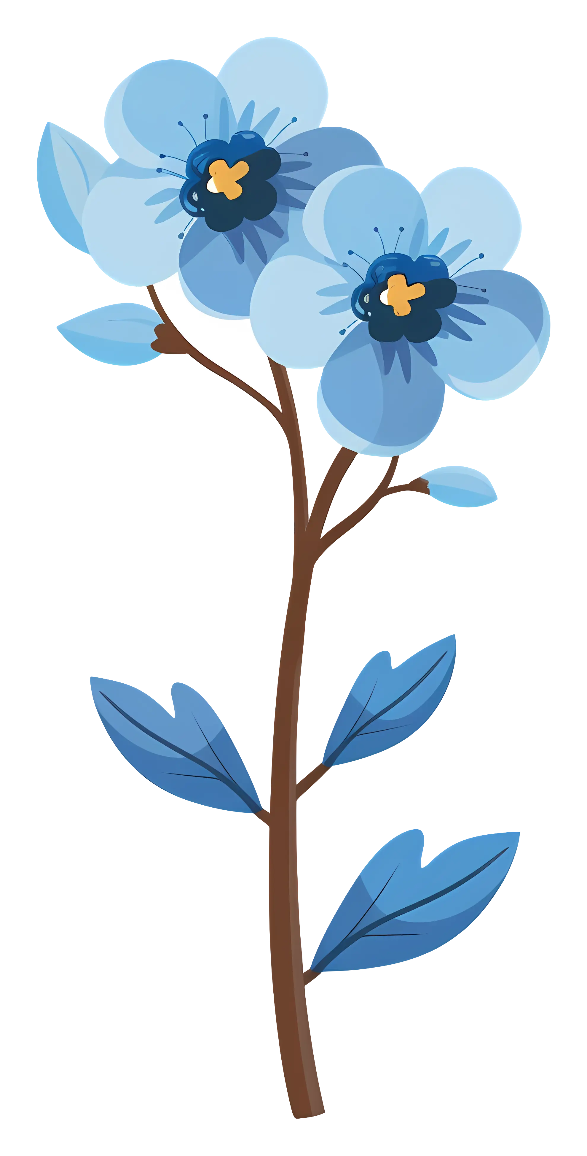 Blue Botanical Flowers Illustration