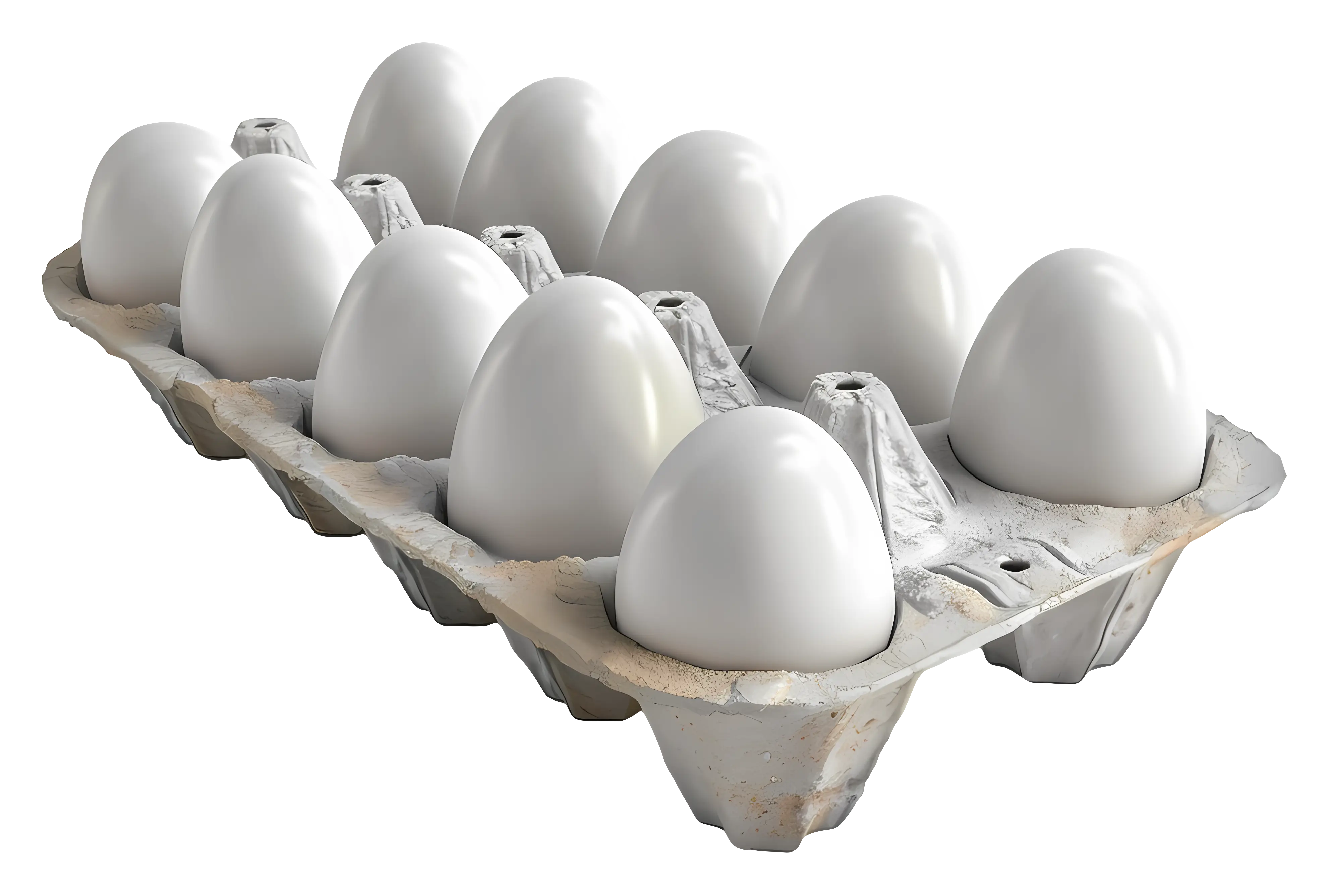 Carton of White Eggs