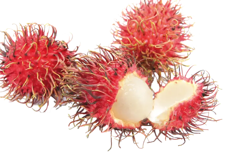 Fresh Red Rambutan Fruit with White Flesh