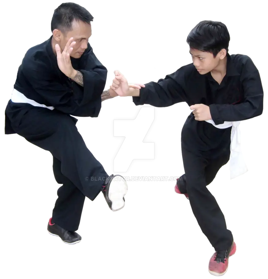 Martial Arts Training Session
