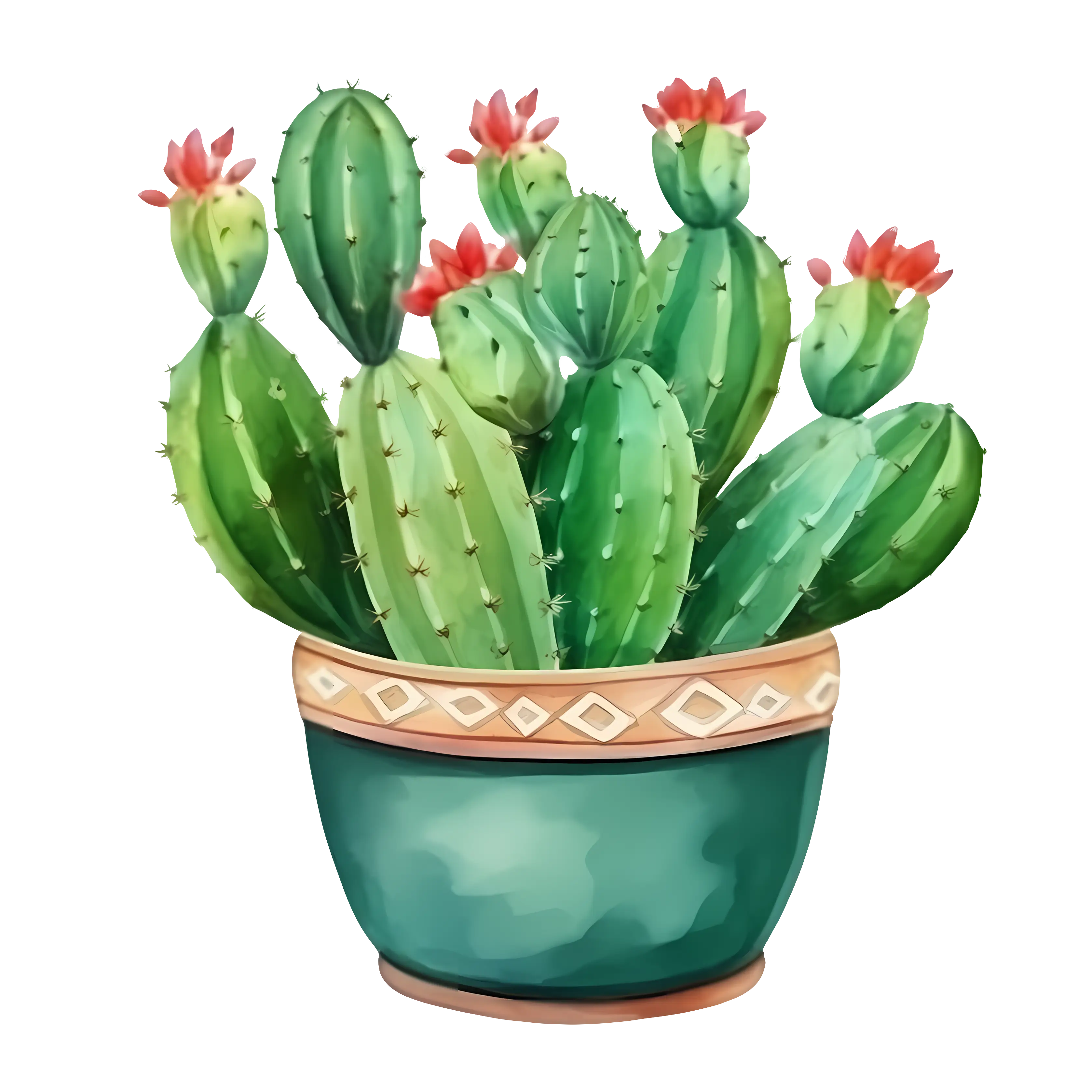 Potted Cactus Plant Illustration