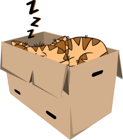 Sleeping Cat in a Box Cartoon Illustration