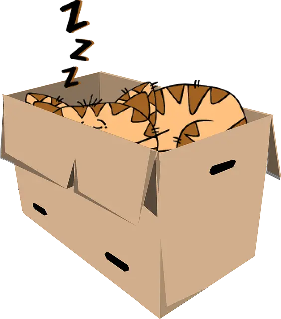 Sleeping Cat in a Box Cartoon Illustration