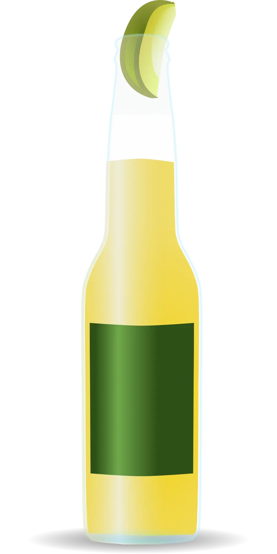 Beer Bottle with Lime Slice