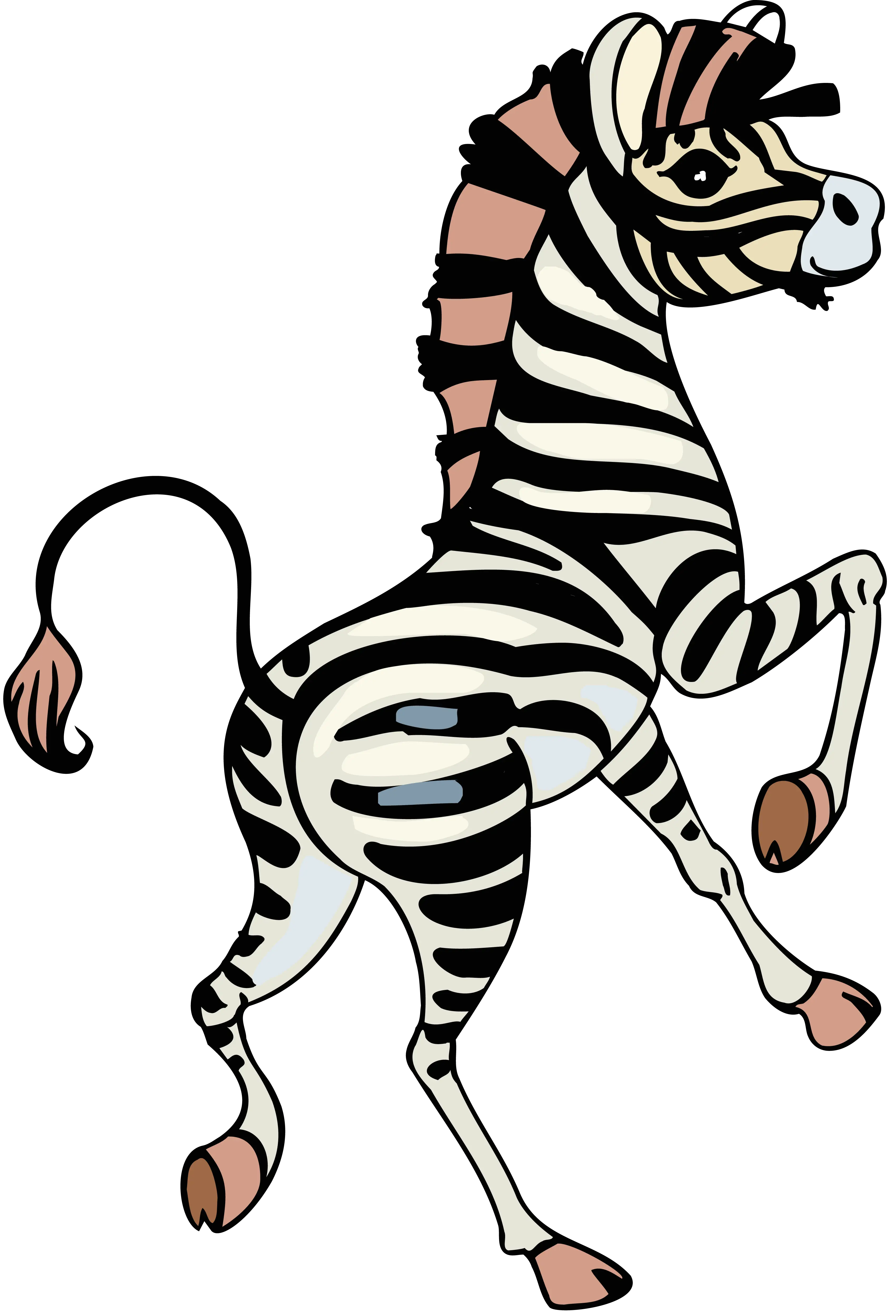 Cartoon Zebra Illustration