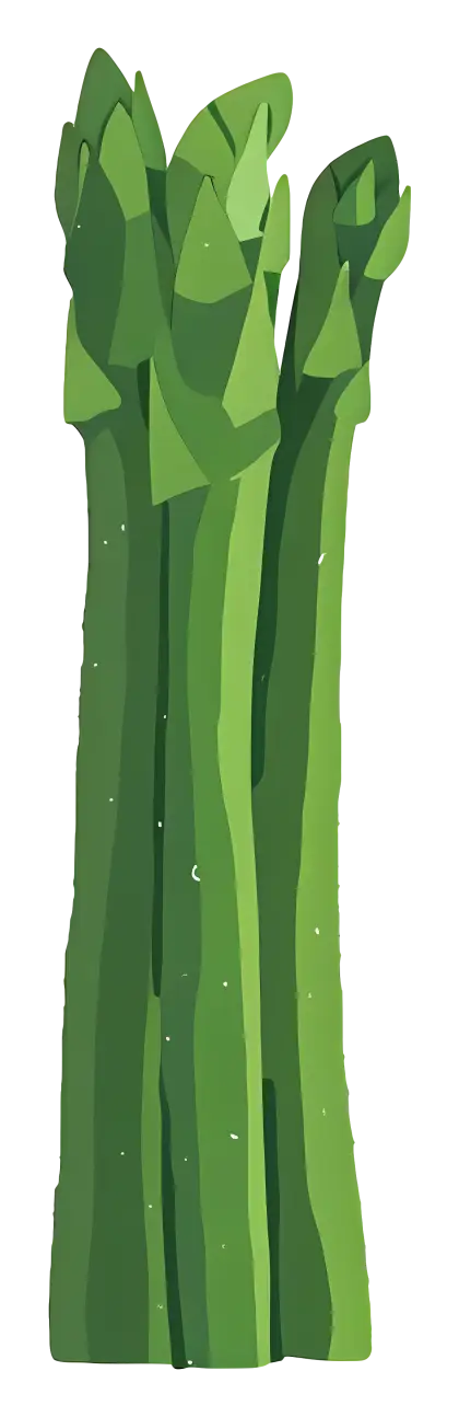 Green Asparagus Stalks