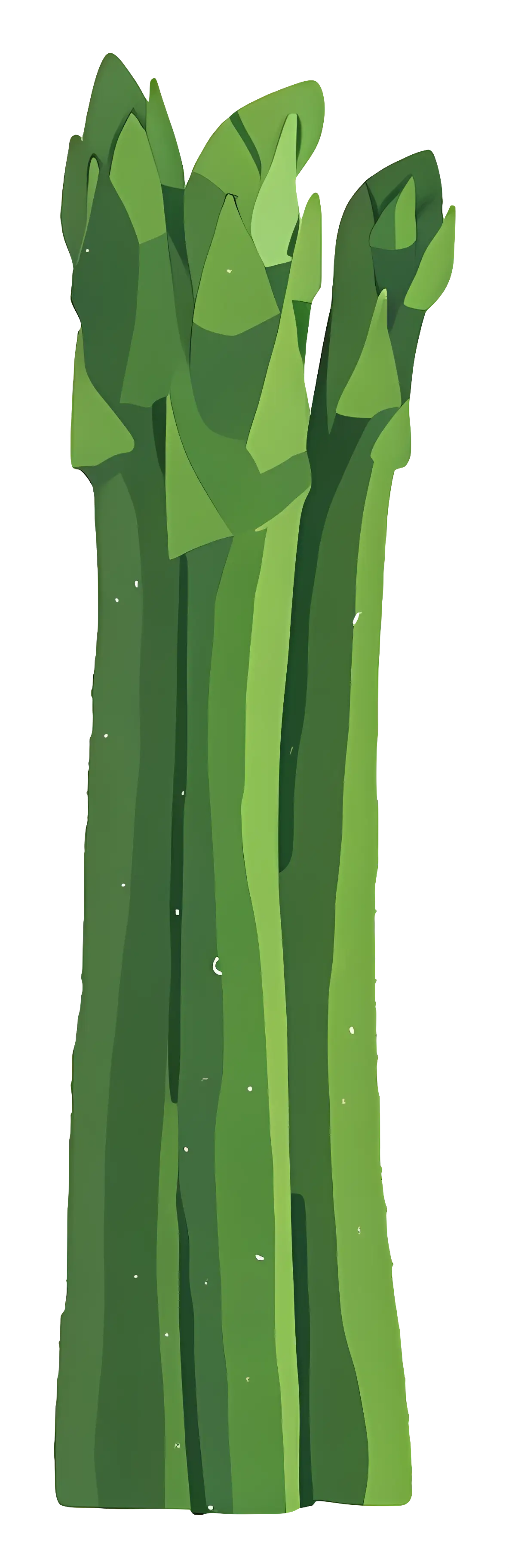Green Asparagus Stalks