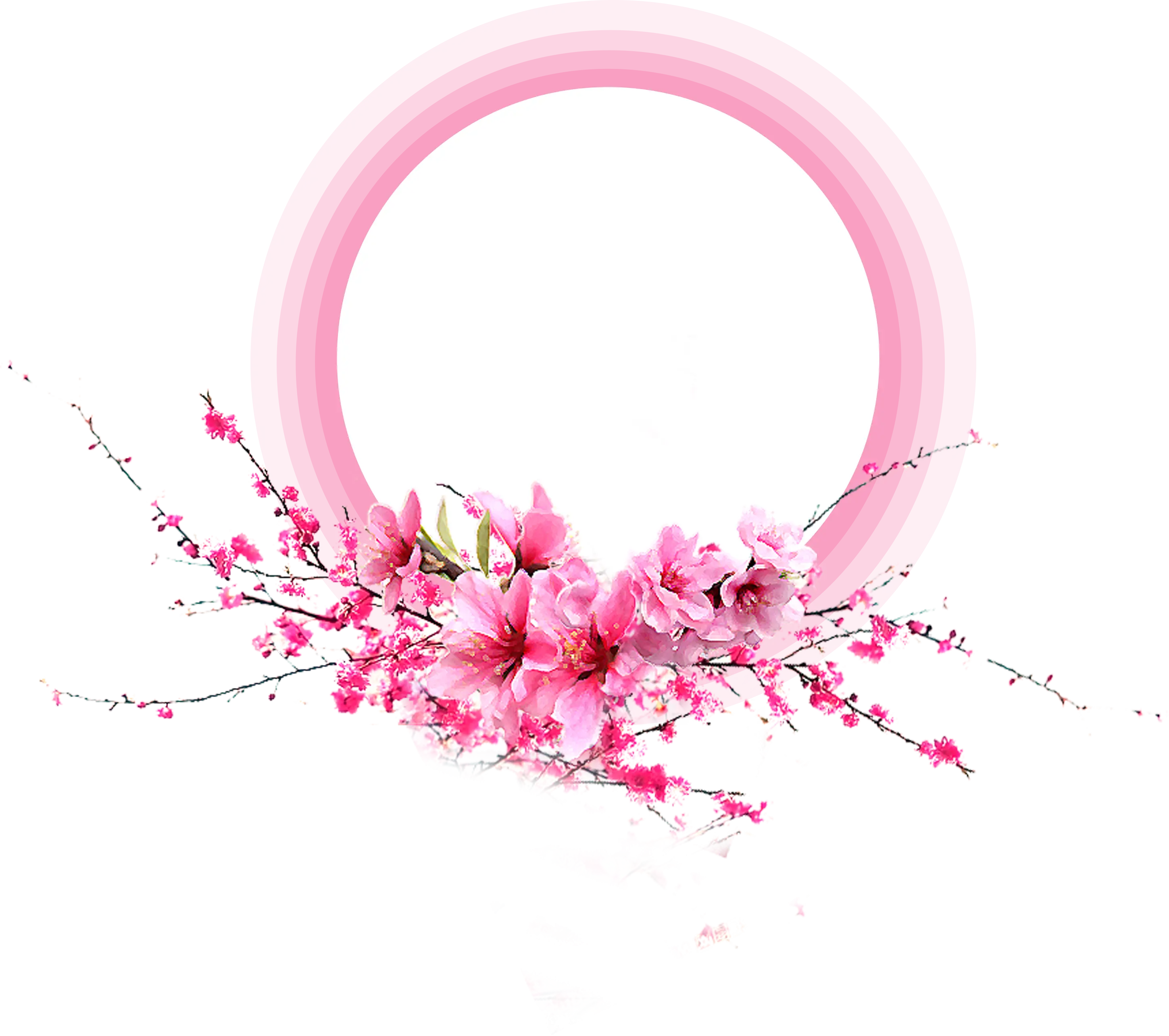 Pink Floral Circular Frame Illustration