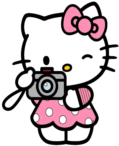 Cartoon Cat Holding Camera in Pink Dress