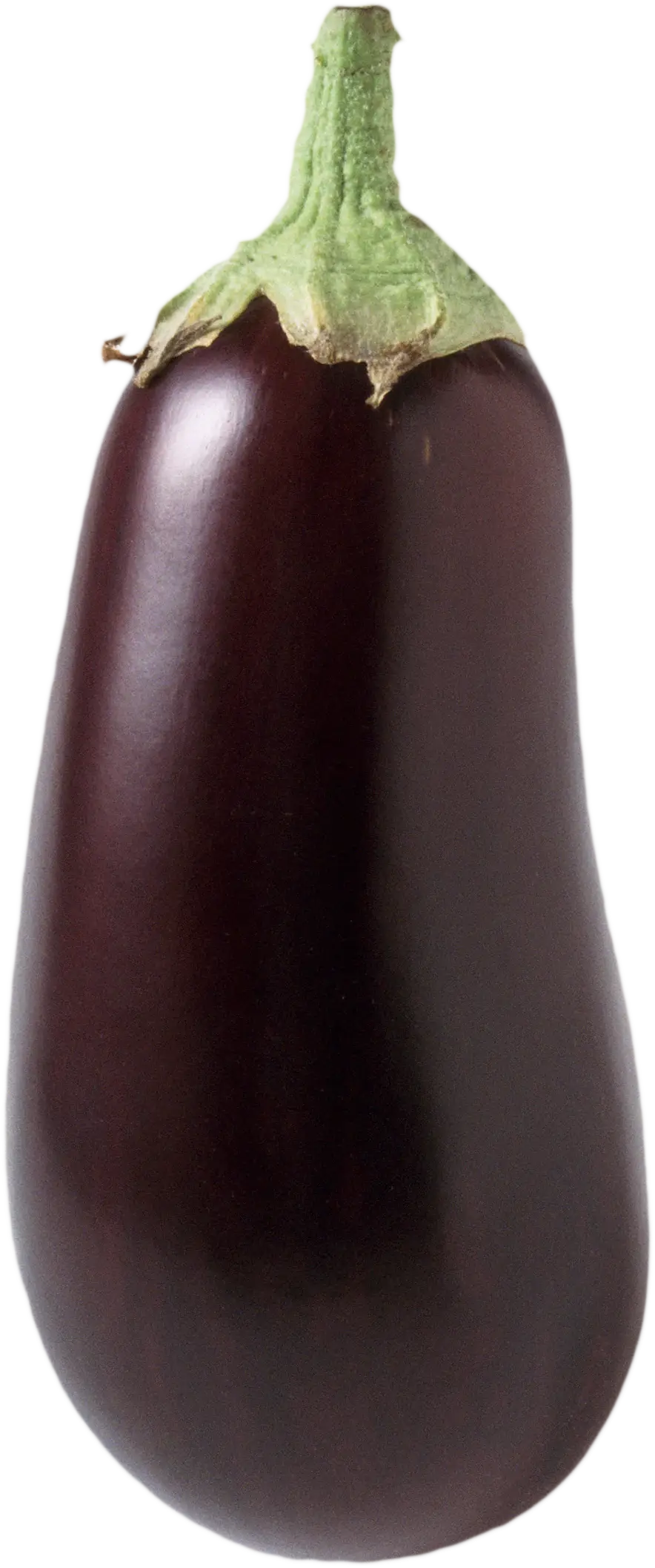 Fresh Purple Eggplant with Green Stem