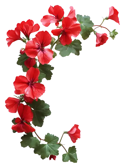 Red Flowers with Green Leaves