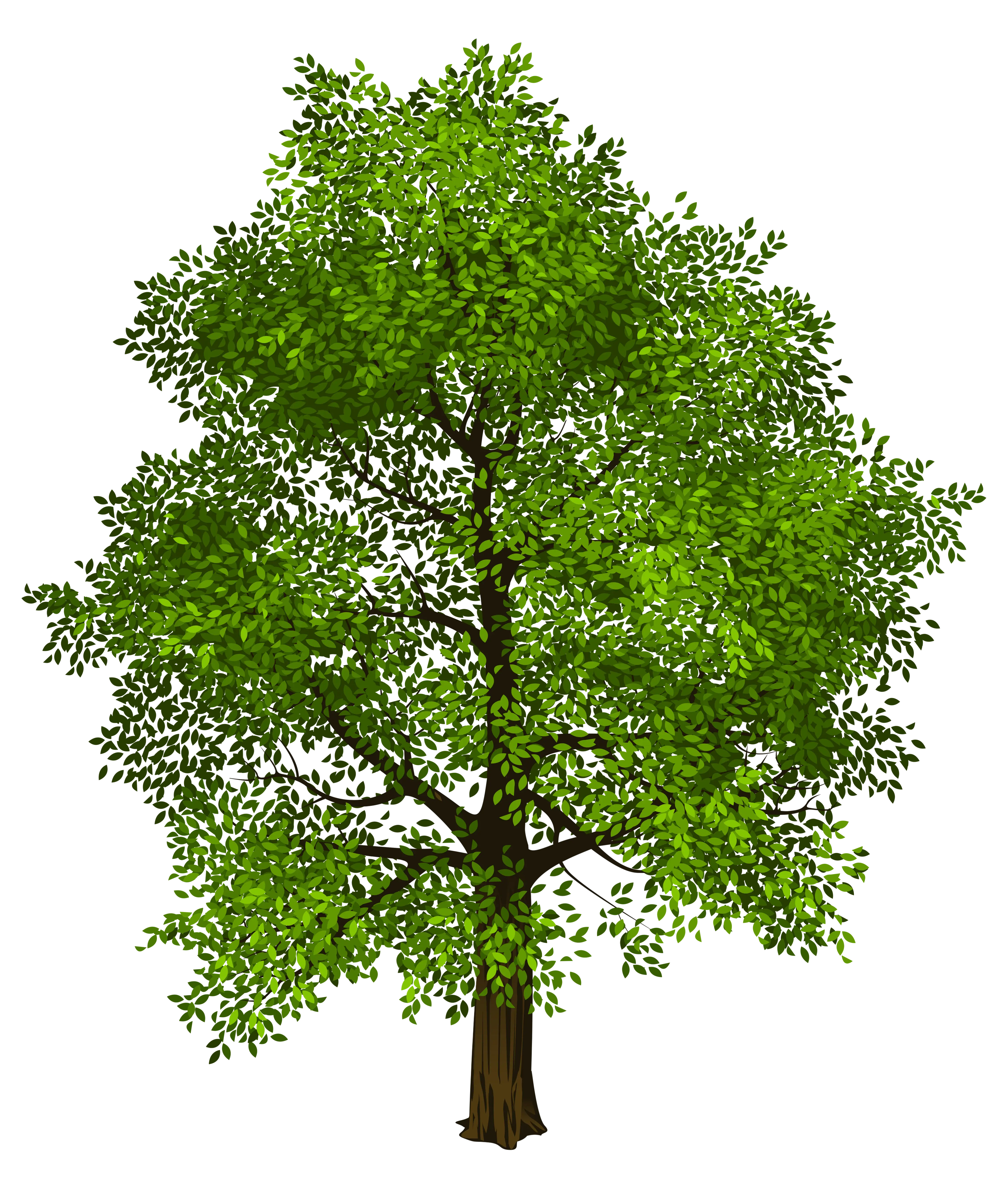 Cartoon Green Tree Illustration