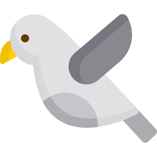 Gray Seagull Flying Illustration