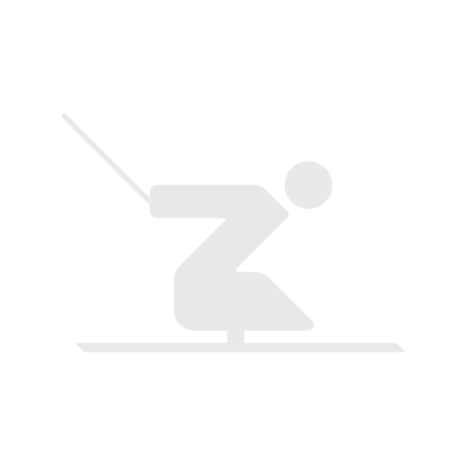 Winter Skiing Silhouette