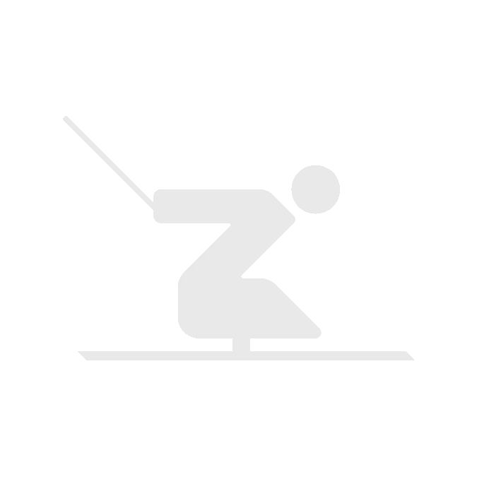 Winter Skiing Silhouette