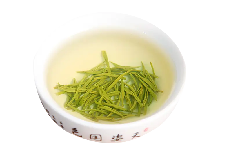 Green Tea in a Cup