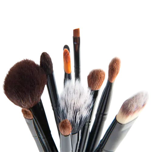 Set of Makeup Brushes