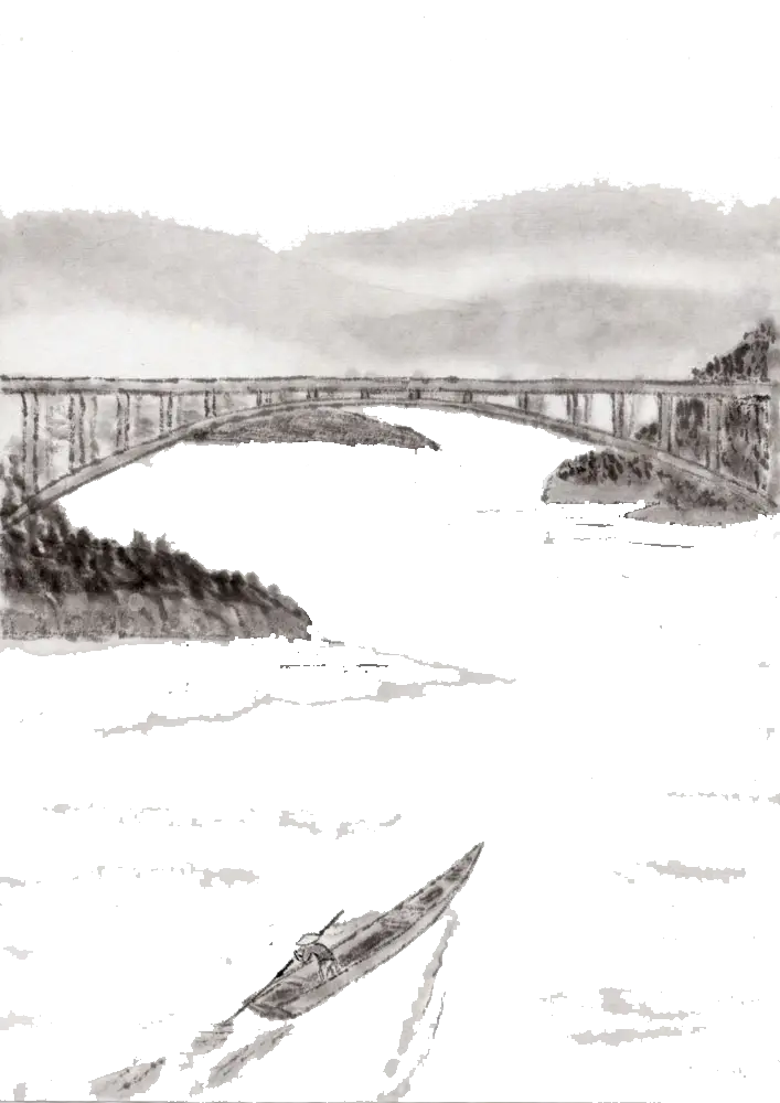 Black and White Bridge Over River
