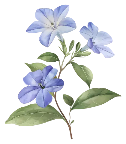 Blue Flowers with Green Leaves