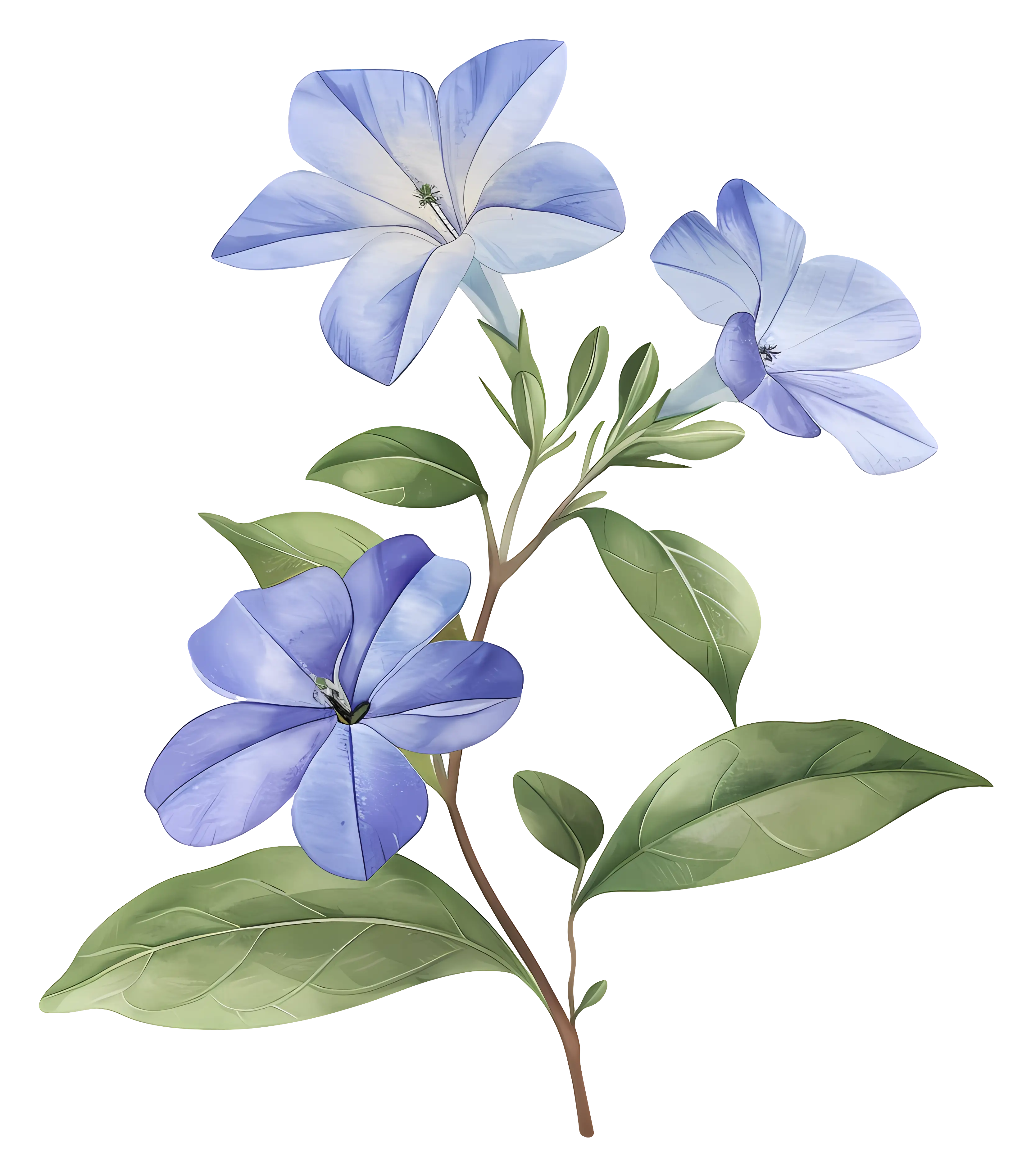 Blue Flowers with Green Leaves