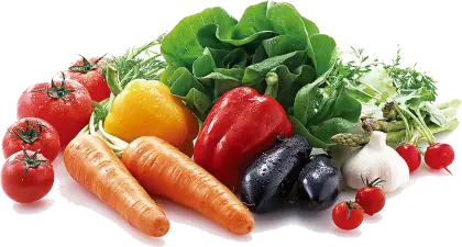 Colorful Assorted Fresh Vegetables