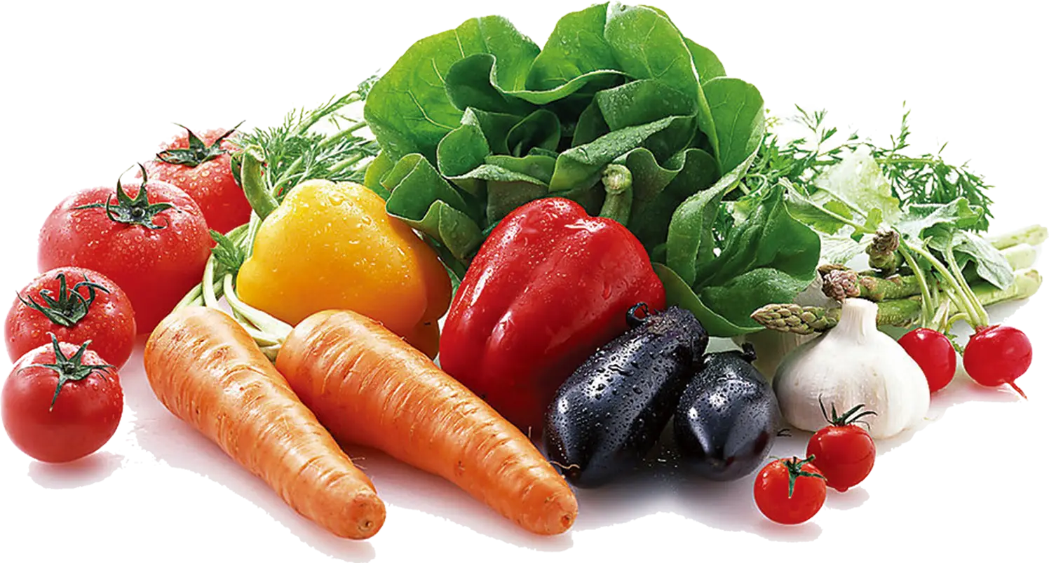 Colorful Assorted Fresh Vegetables