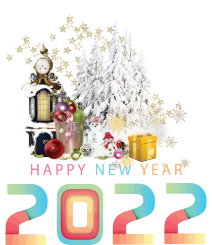 2022 New Year Celebration Image