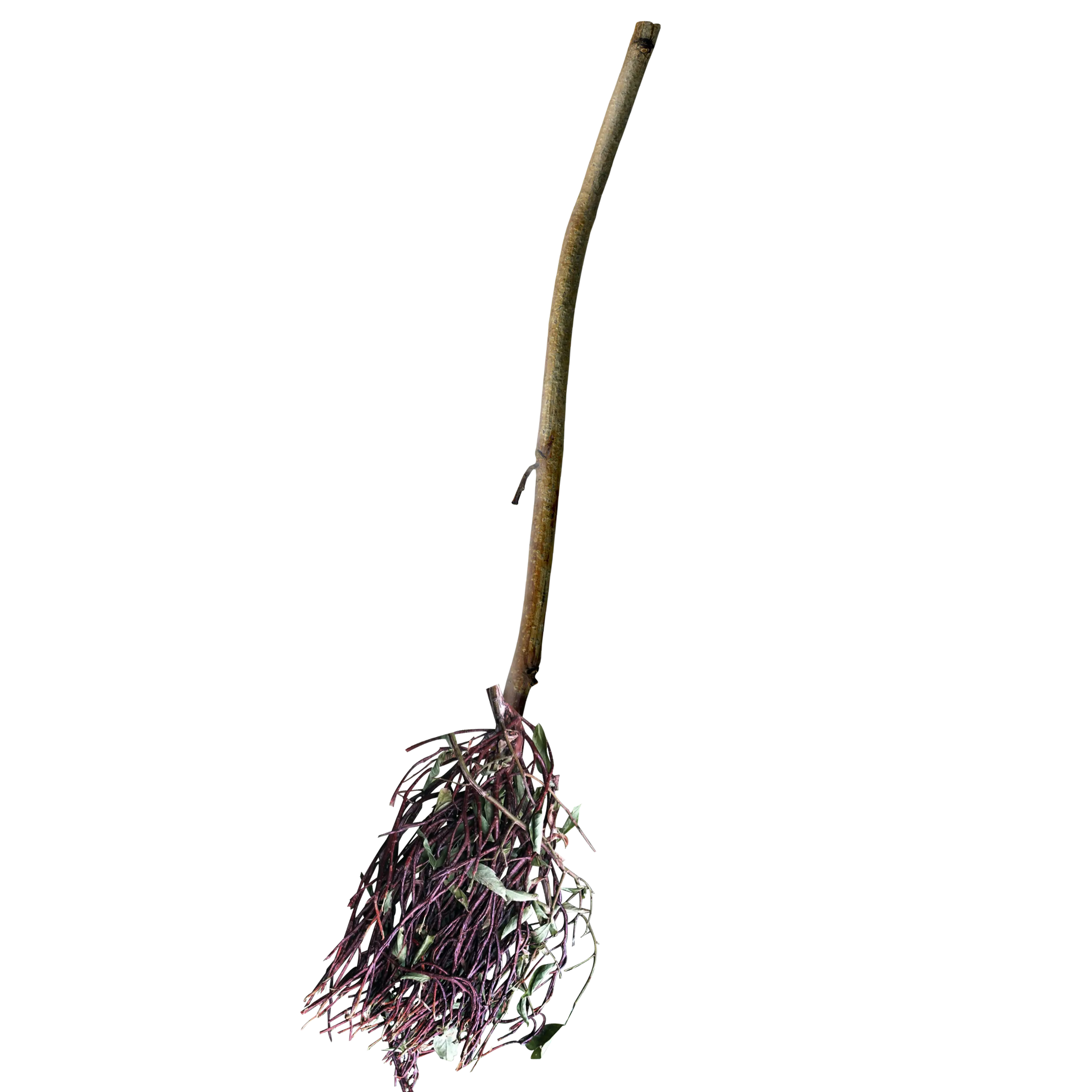 Old Wooden Broom