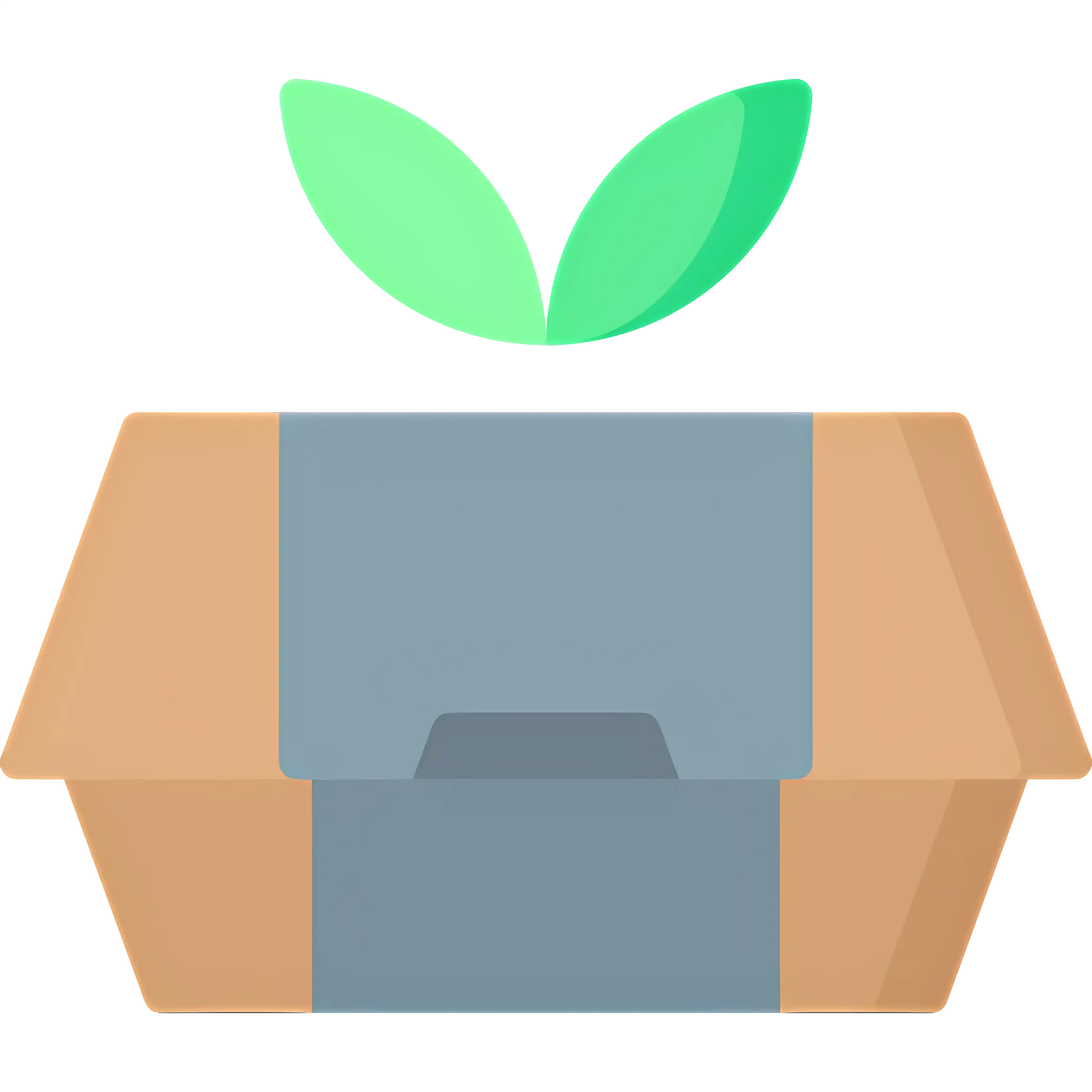 Eco-Friendly Box with Leaf