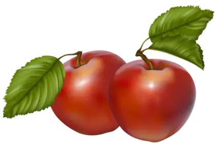 Pair of Red Apples with Green Leaves