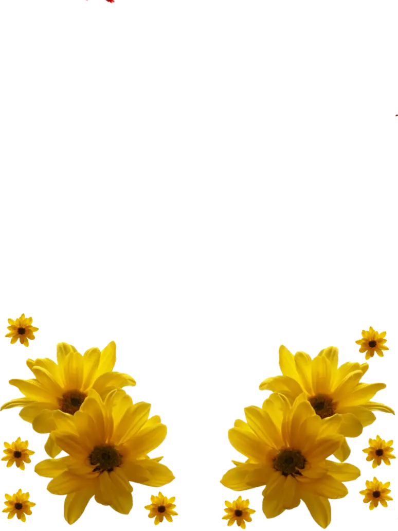 Yellow Flowers Decorative Frame
